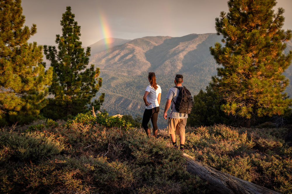 Children Skiing on Mountain